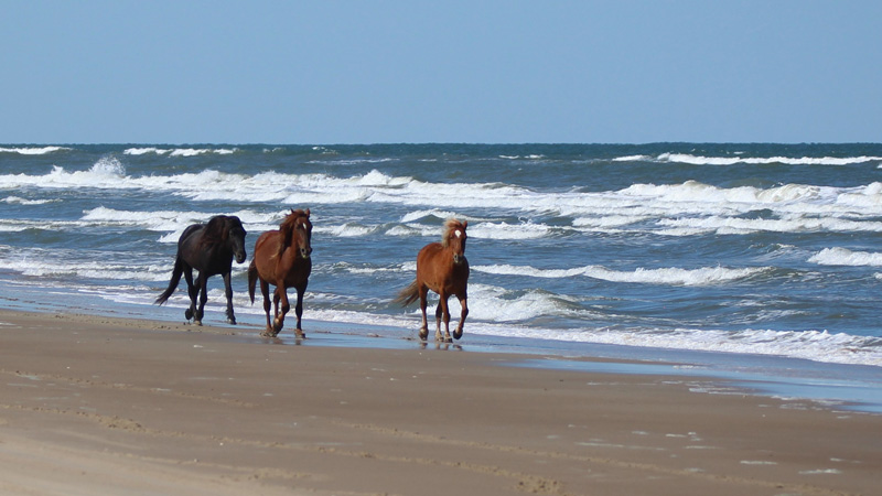 Outer Banks, North Carolina