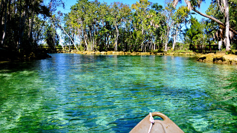 Three Sisters Springs in Crystal River, Florida