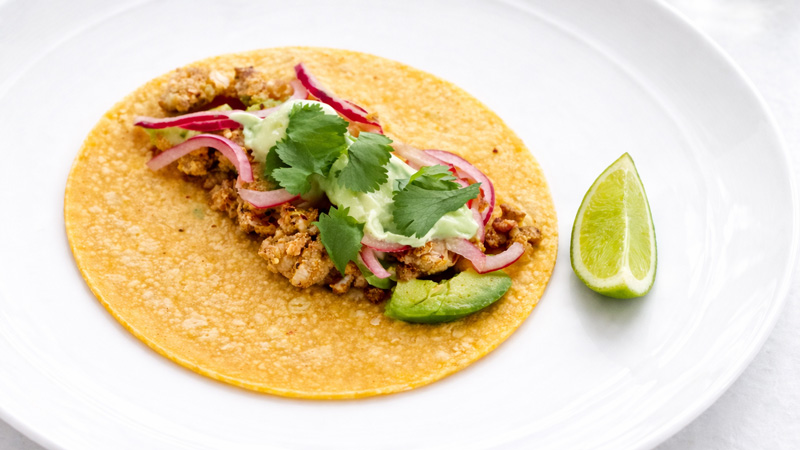 Jerk seasoned snapper fish taco from Florida